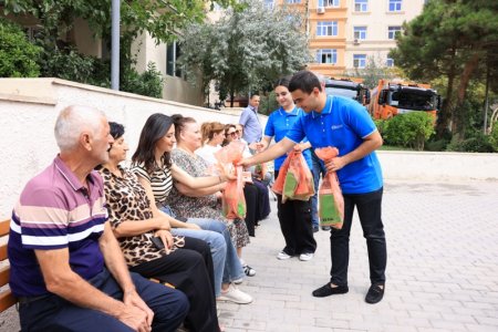 Paytaxt meriyasının layihəsinə Binəqədi rayonu da qoşulur